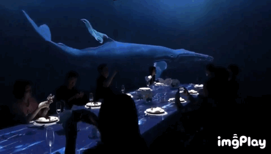 �񼪸��5D�ڿƼ����ò͏d �Գ��M�M�ăxʽ��