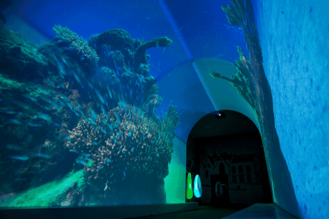 ȫϢͶӰ+����,߀ԭһ������ˇ�g(sh��)���g!